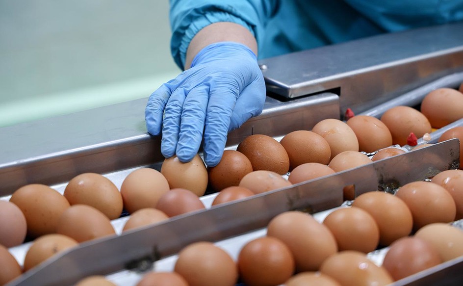 ФАС проверяет производителей курятины и яиц