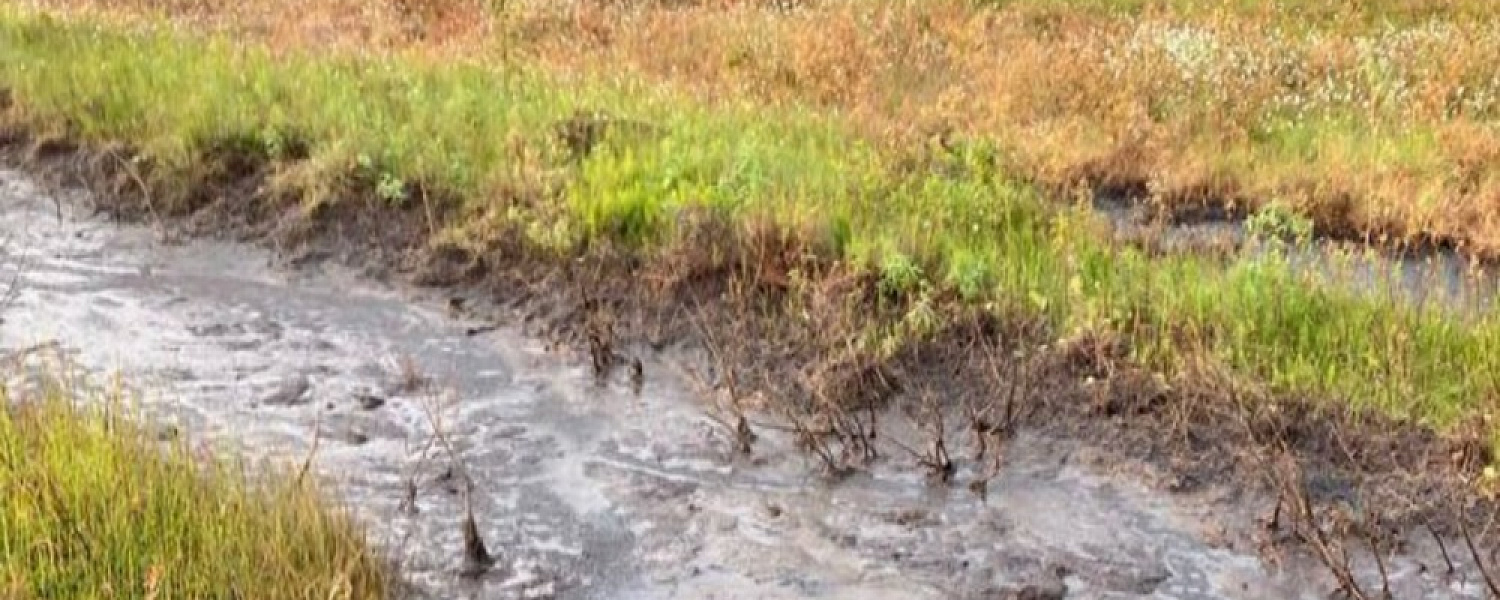 В Коми произошел разлив нефтесодержащей жидкости в реку Колва